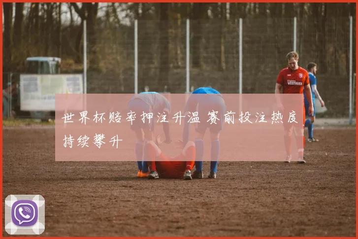 世界杯赔率押注升温 赛前投注热度持续攀升