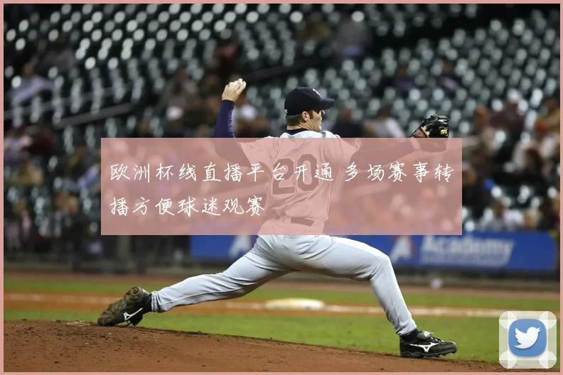 欧洲杯线直播平台开通 多场赛事转播方便球迷观赛