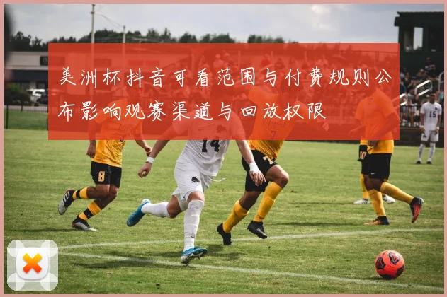 美洲杯抖音可看范围与付费规则公布影响观赛渠道与回放权限