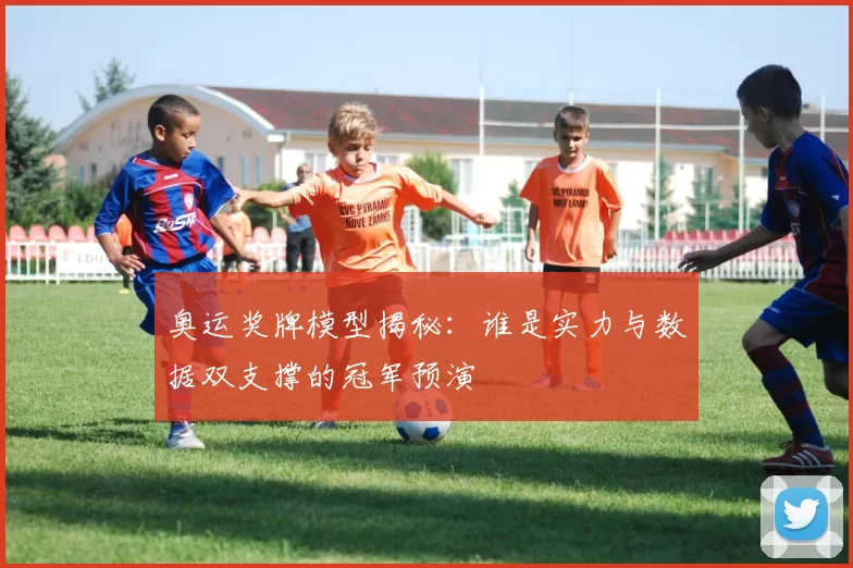 奥运奖牌模型揭秘:谁是实力与数据双支撑的冠军预演